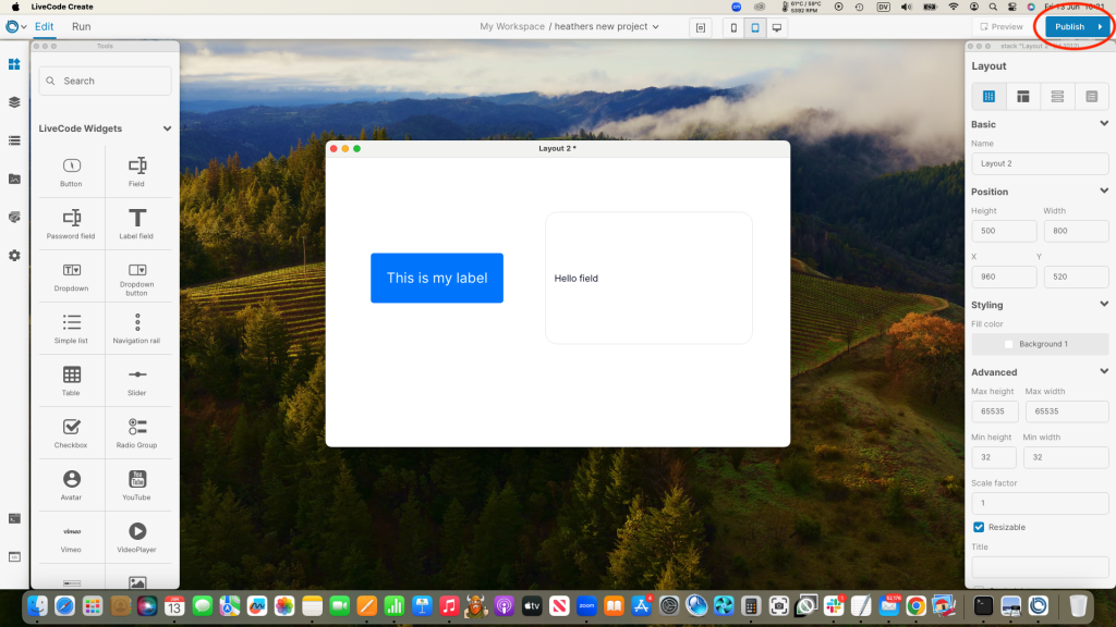 Publish Button